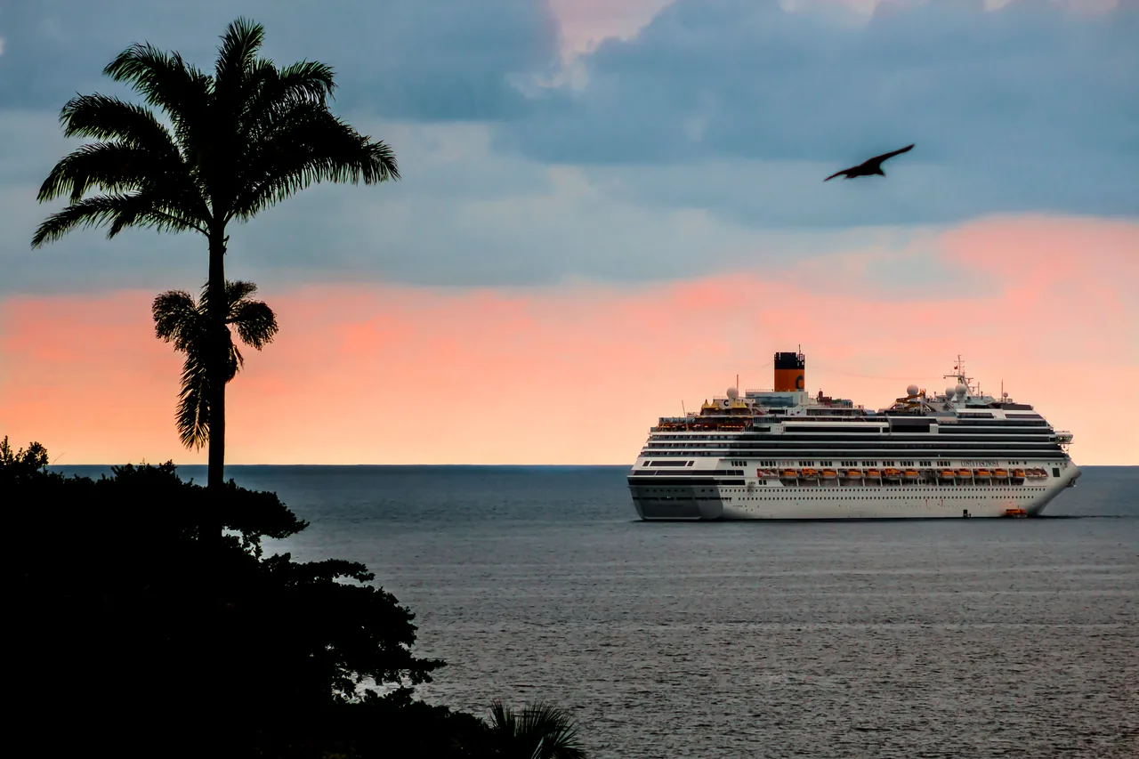 A cruise ship sails at sunset near a palm tree with a vibrant sky and calm ocean