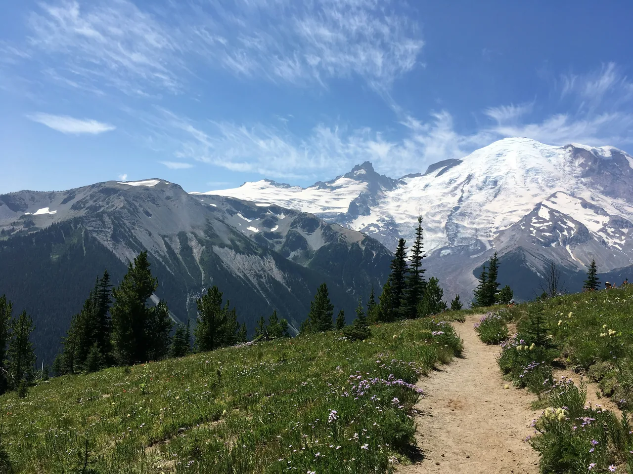 Hiking trail, Mt Rainier National Park